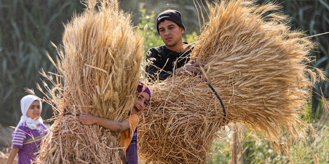 المصدر: CNN Arabic