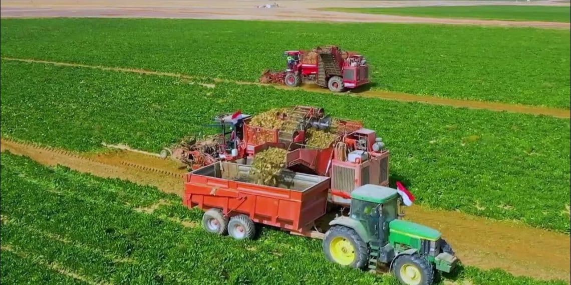 المصدر: TeN TV