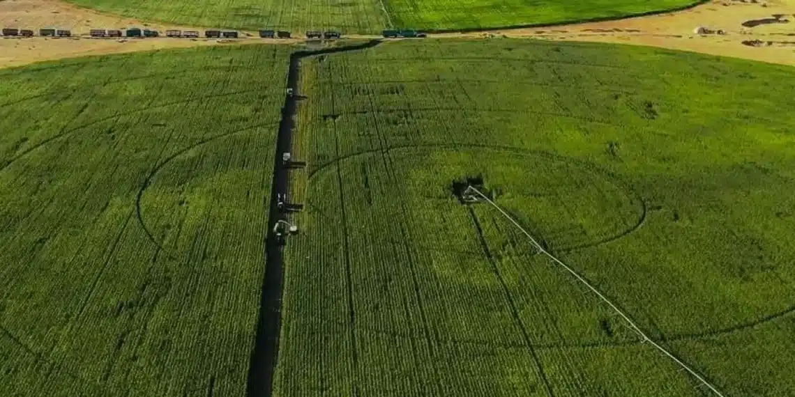 المصدر: اقتصاد سكاي نيوز عربية
