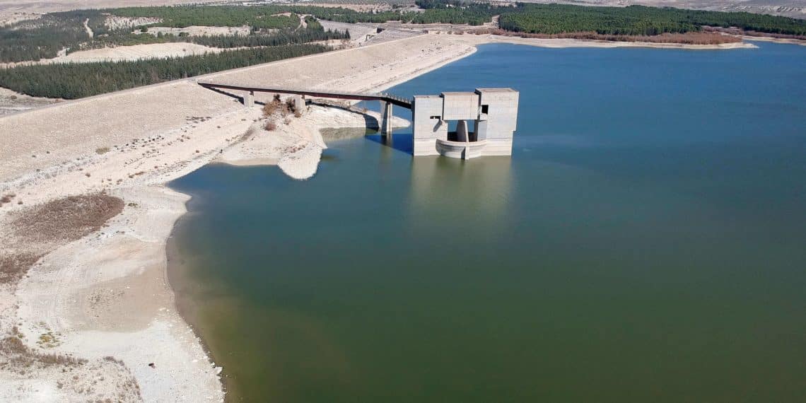 المصدر: زاجل