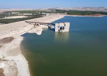 المصدر: زاجل