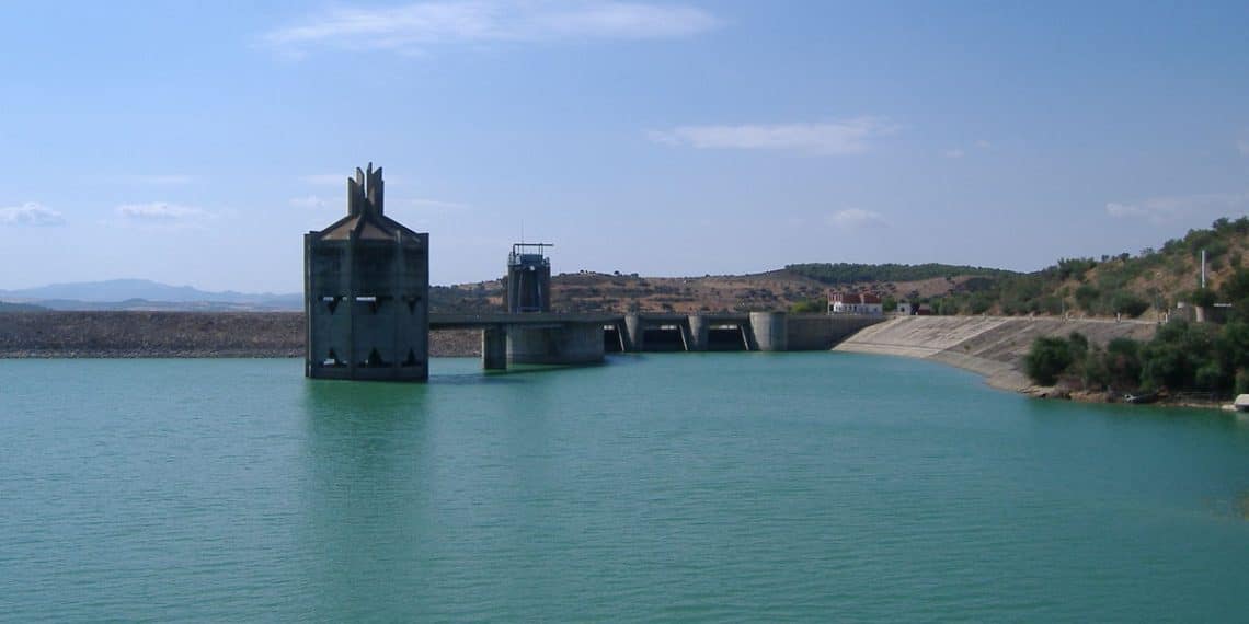 المصدر: Tunibusiness‏