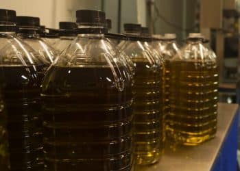 المصدر: اقتصاد الشرق