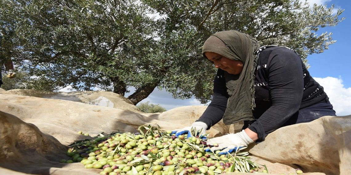 المصدر: AFP via Getty Images