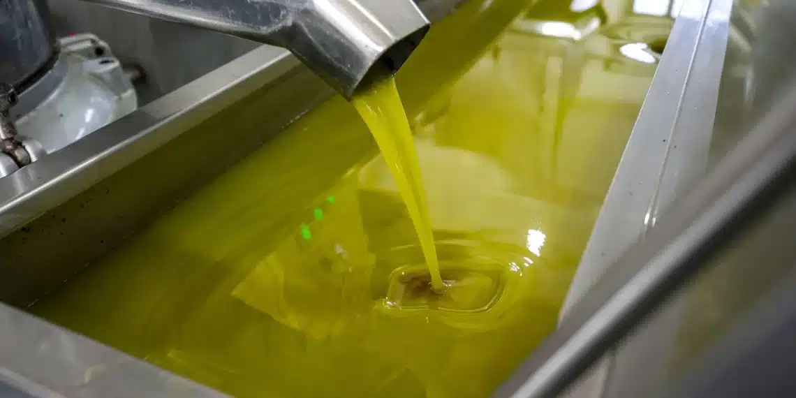 المصدر: Anadolu Agency