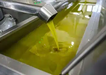 المصدر: Anadolu Agency