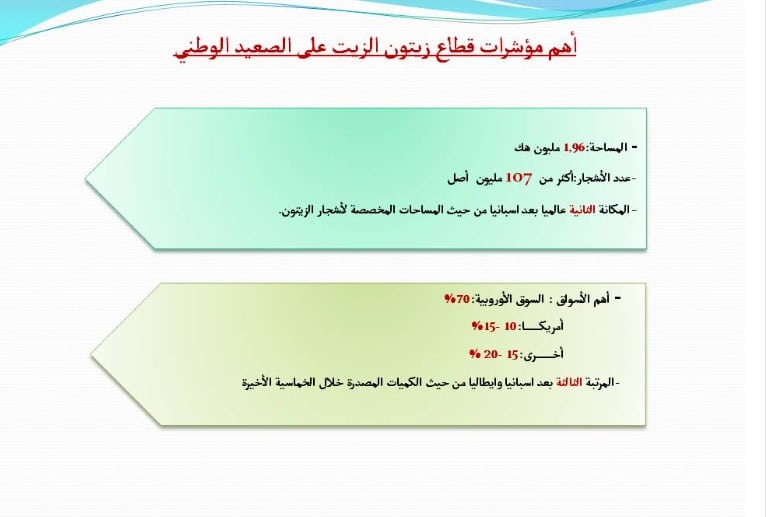 عدد أصول الزيتون في تونس