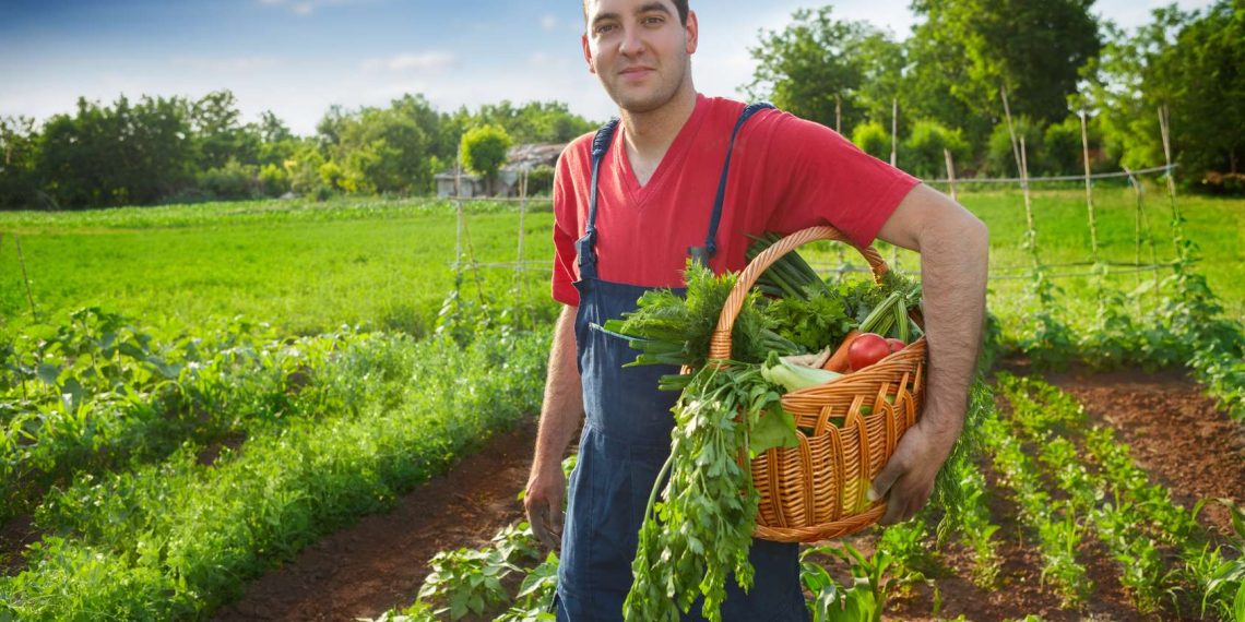 المصدر: مدارات عربية