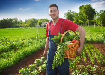 المصدر: مدارات عربية