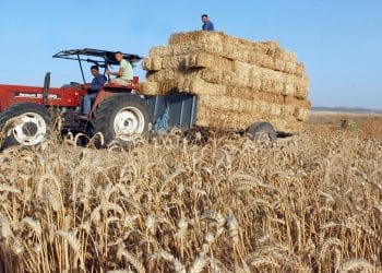المصدر: AFP/Getty Images
