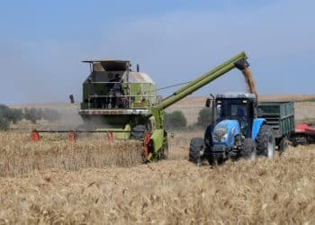 المصدر: Assabah news