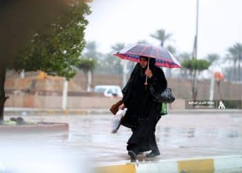 المصدر: INA‏