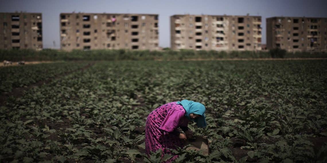 المصدر: AFP/Getty Images