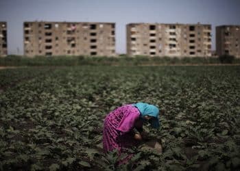 المصدر: AFP/Getty Images