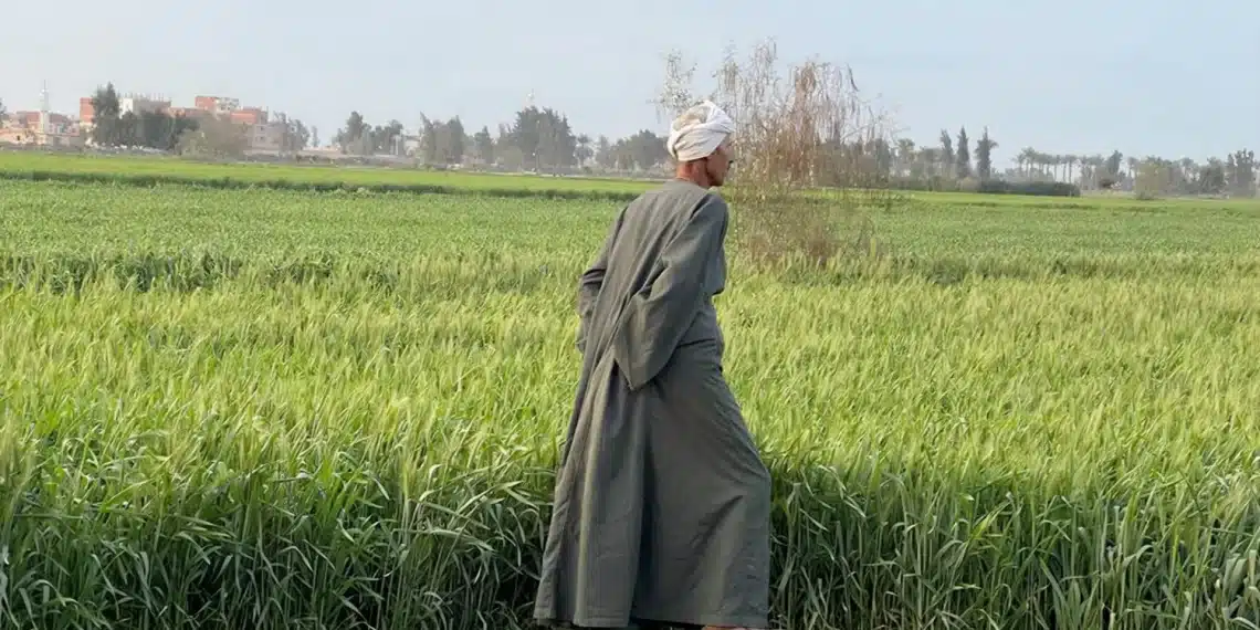 المصدر: الجزيرة نت