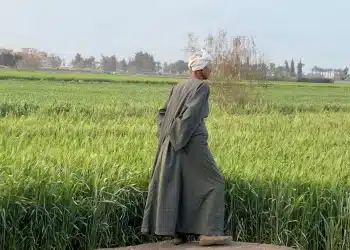 المصدر: الجزيرة نت