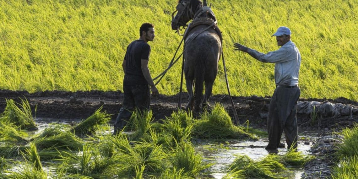 المصدر: اندبندنت عربية