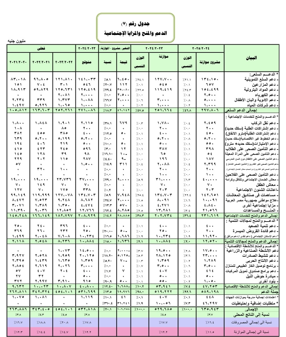 مساهمة الدولة في صناديق المعاشات في مشروع موازنة 2024 - 2025