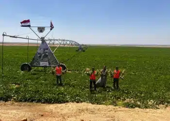 المصدر: العربية