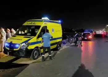 المصدر: السياسي