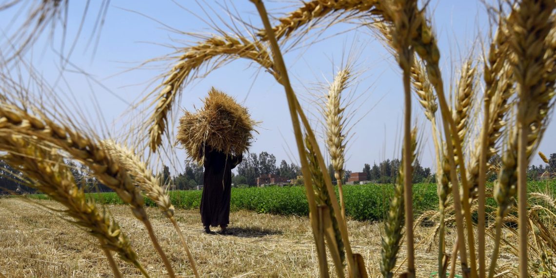 المصدر: CNN Arabic‏