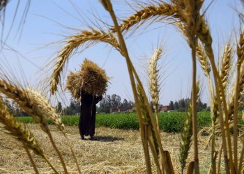 المصدر: CNN Arabic‏
