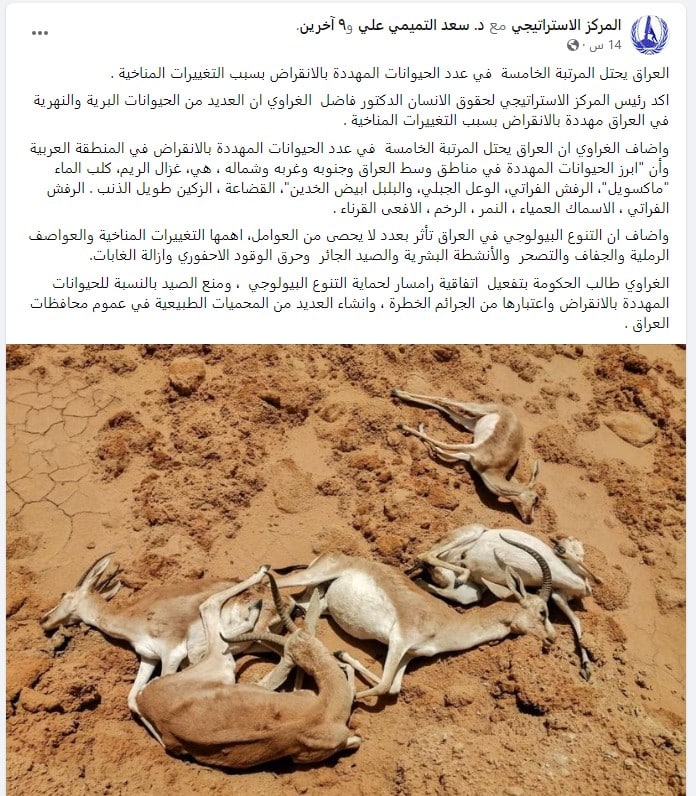 منشور المركز الاستراتيجي عن مرتبة العراق في الحيوانات المهددة بالانقراض