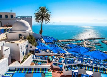 المصدر: موقع محيط