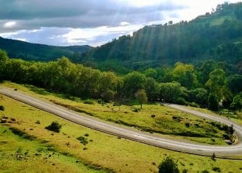 المصدر: ويكيبيديا
